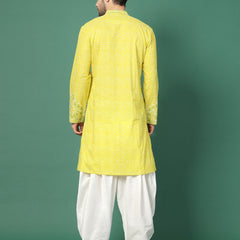 Back view lime green ethnic kurta
